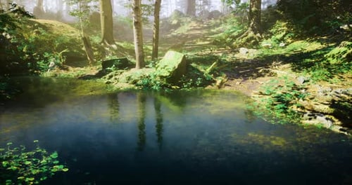 Lush Forest Landscape with a Serene Pond Surrounded By Vibrant Greenery