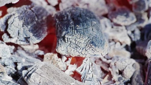 Glowing Charcoal Embers in Extreme Close Up