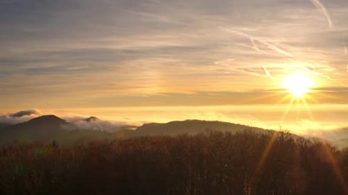 Forêt d'automne sous un soleil chaud
