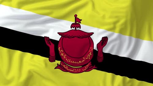 Realistic Waving Brunei Flag Seamless Loop