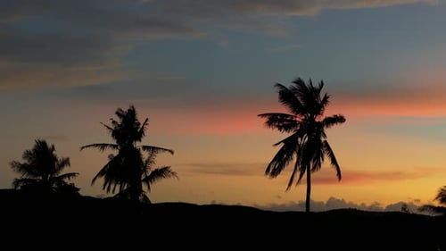 Silhouette von Palmen bei Sonnenuntergang auf den Philippinen