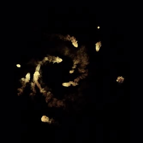 Fluid Golden Particle Trails Reveal Animation