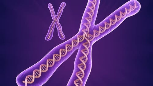 Chromosome molecule closeup, 3D animation