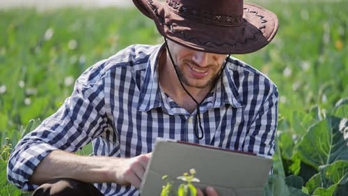 Farmer Using Digital Tablet During Monitoring His Plantation