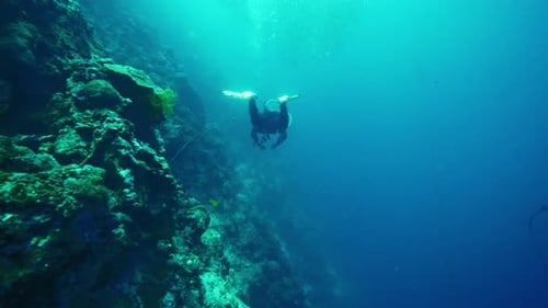 Diver Swims Along Underwater Rocky Slope Exploring Ocean