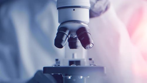 Close Up of Microscope Adjustment in Laboratory