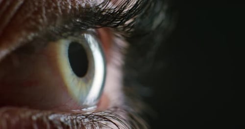 Green eye, vision and macro with eyes, blink or extreme sight closeup, open eyelid