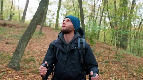 Man Hike In Forest