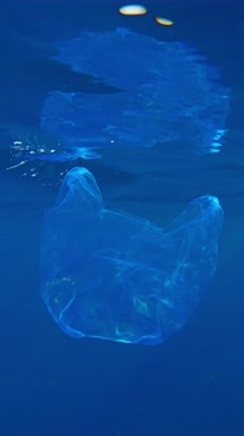 Bolsa de plástico vieja usada que flotaba bajo el resplandor del sol debajo de la superficie del agua reflejada en ella