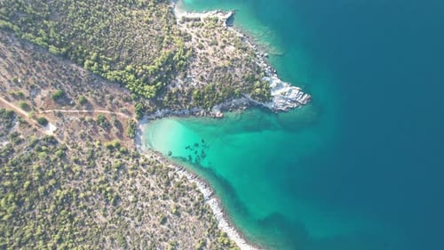 Drone Flies Over a Beach and Sea Bird Eye View