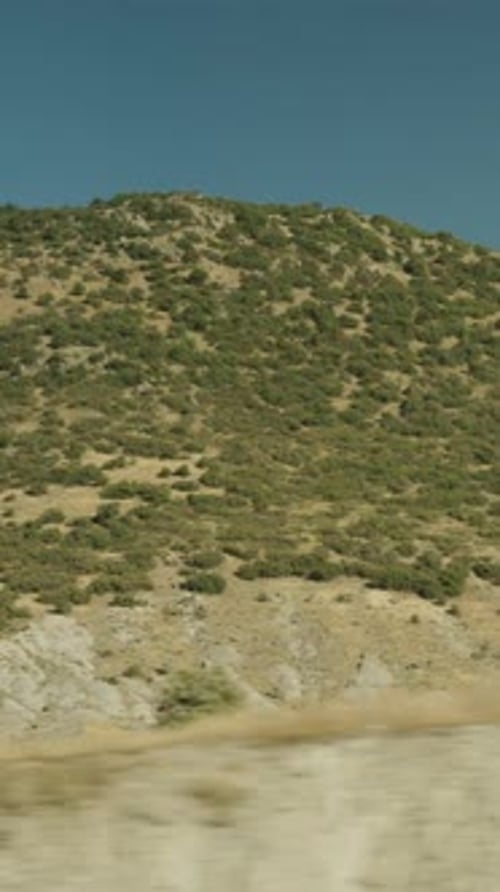 Vertical video. View from a moving car of mountains and trees on them. Clear sunny weather.