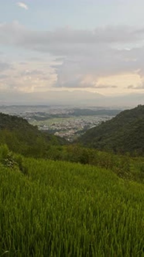 Paysage rural et Katmandou au Népal, rizières, rizières et terrasses de rizières dans une villa rurale