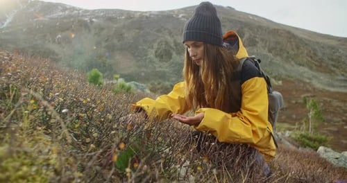 Woman Foraging for Berries on Mountain Hiking Trail