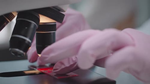 Microbiologist Examining Blood Sample under Microscope Close Up