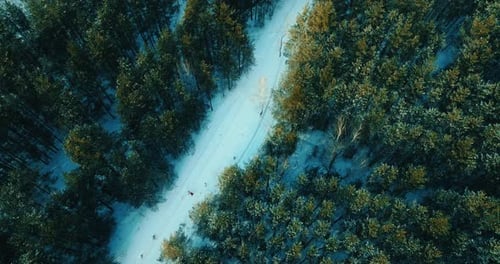Luftaufnahme mit wunderschönem Nadelwald am Wintermorgen Menschen, die auf dem Pfad Prores wandern