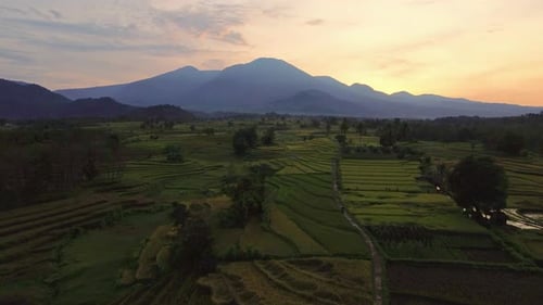beautiful morning view indonesia panorama landscape paddy fields with beauty color and sky natural