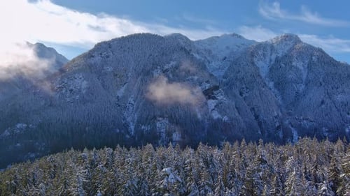 Snowy Mountains and Trees in Canadian Nature Landscape Winter Season Sunny Day Aerial View