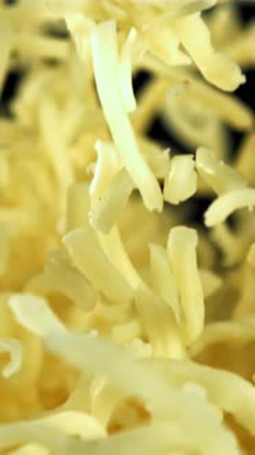 The Grated Cheese Flies Up and Falls Down Filmed on a Highspeed Camera at 1000 Fps