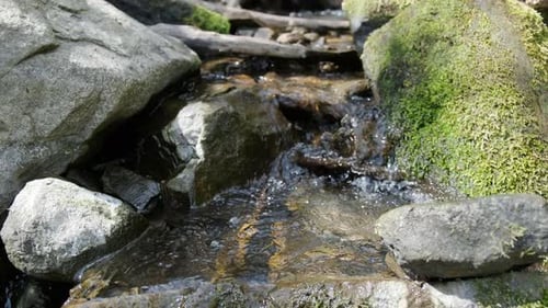 Stream flowing over moss stones. Creek flow in deep woods among stones, greenery and trees
