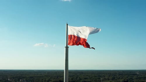 French Flag Waving on Pole in Daytime