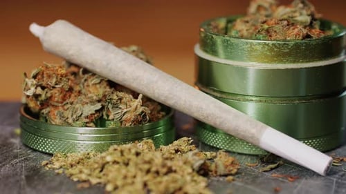 Medical Marijuana Bud Flowers of Cannabis with Big Joint and Grinder and Shredded Cannabis THC CBD