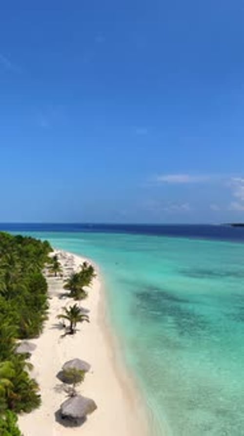 Tropical White Sand Beach with Calm Turquoise Water and Palm Trees Under Blue Sky Serene Atmosphere