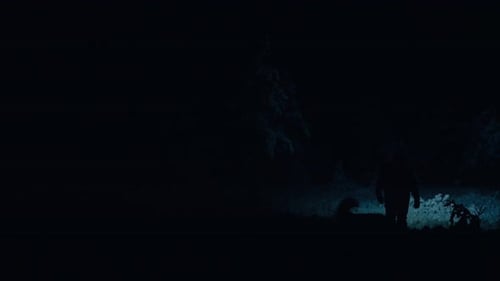 Hiker With Head Flashlight On Snow-Covered Forest Pathway At Night. Static Shot