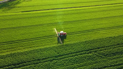 Farming Tractor Spraying on Field with Sprayer Herbicides and Pesticides Spraying Green Wheat Field