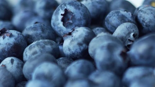 Close-Up of Fresh Blueberries. with Red Camera