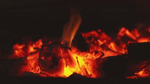 Close up macro shot of wood logs burning on fire in outdoor nature