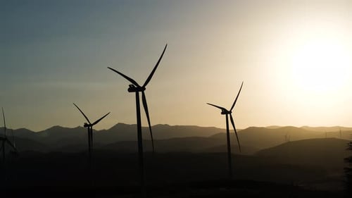 Wind Turbines Silhouetted at Sunset Generating Power