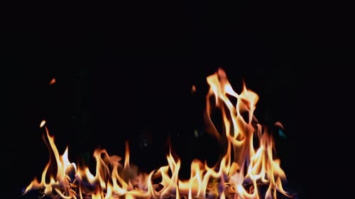 Vibrant Flames Dancing Against a Black Background