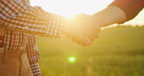 Handshake Between the Farmers at the Field During the Examining Harvest Two Businessman Farmer Shake