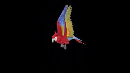 Colorful Animated Macaw Parrot Flying with Flapping Wings