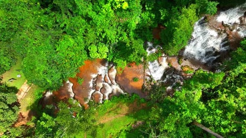 Tropical Forest Waterfall Birds Eye Aerial View