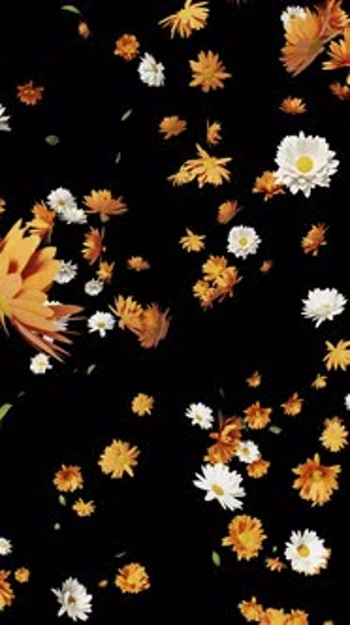 Falling Flowers Natural Overlay Loop