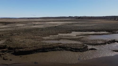 Low aerial truck left over a salt marsh in Scituate, MA, USA. Drone, grasses, mud.
