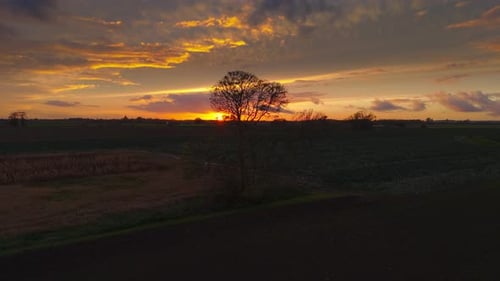 Atmospheric summer autumn sunset with waving wild grass in sunlight, rural meadow or field in