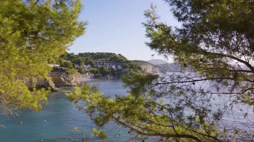 Looking Across Beautiful Ocean View, View Through Tees Along Spectacular Mediterranean Beaches