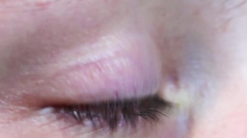 A short close up of an eye