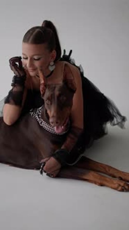 Stylish Girl Posing with a Large Doberman in the Studio Concept of Friendship with a Dog