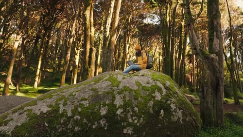 Remote Work in Forest Setting Young Female Hiker with Laptop