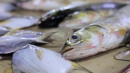 Closeup de peixes mortos à venda no mercado tradicional de peixes