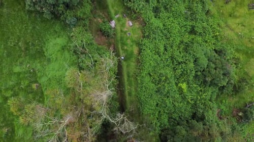 Flying over the forest following a runner.