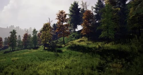 Vibrant Autumn Landscape with Colorful Trees in a Serene Forest Setting