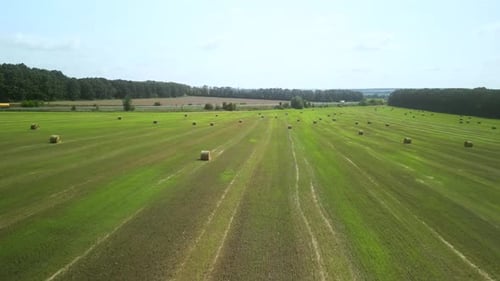 Round Hay Bales on the Green Field