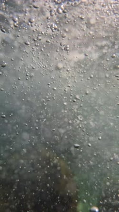 Water Bubbles Underwater Abstract View of Air Particles Rising Through Clear Ocean Surface Vertical
