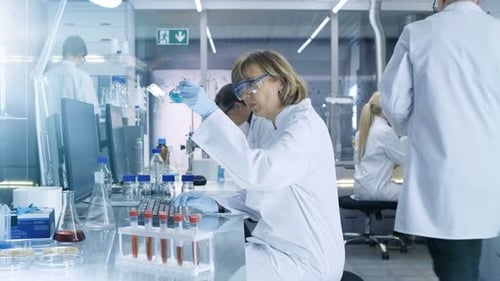 Scientists Working in Bright Modern Laboratory