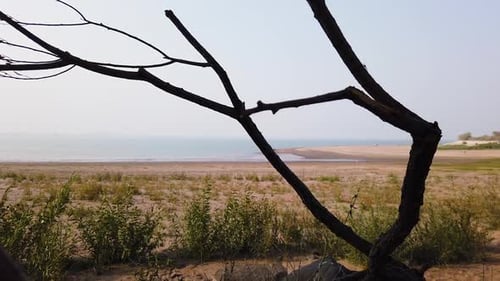 View Of Empty Beach And Seascape Through Leafless Tree Branch. wide