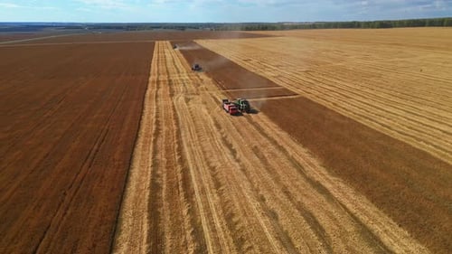 Diferentes máquinas agrícolas que cosechan granos en un campo de trigo, imágenes aéreas.